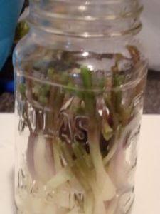 ramps in a jar